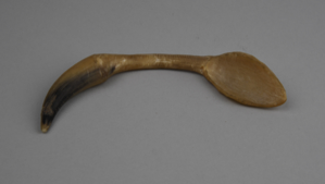 Image: musk ox horn spoon