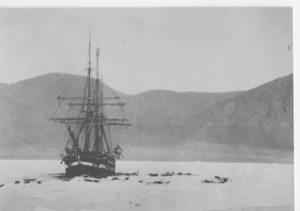 Image of The WINDWARD in the Ice