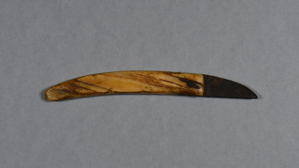 Image of Small knife with narwhal ivory handle, fixed metal blade