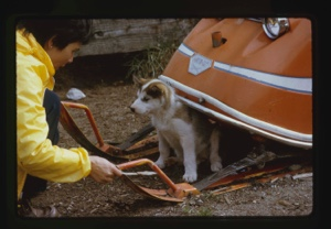Image of Beth [Solis] Greets Puppy Sitting Under Snowmobile