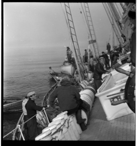 Image of "Shipwreck photos" -  small boat near BOWDOIN. Pilot Peter Peterson sits on titled deck