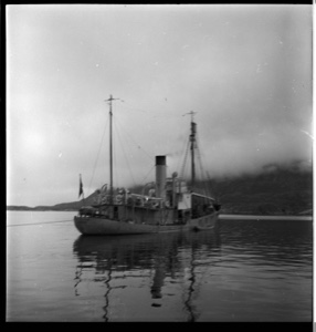 Image: Whaling steamer