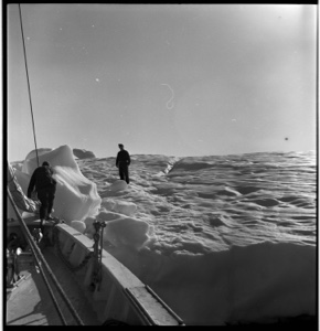 Image: Miriam climbing from the BOWDOIN onto iceberg, Rutherford Platt on the 'berg
