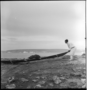 Image: Eskimo [Inuk] man launching (or hauling) kayak