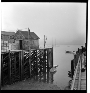 Image: Low tide and fog at Cutler dock