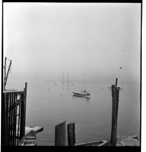 Image: Low tide and fog at Cutler dock