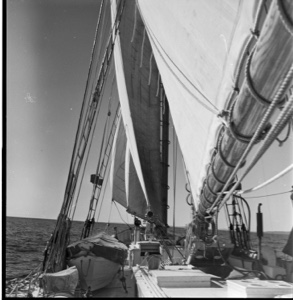 Image: Sail pattern and rigging over forward deck