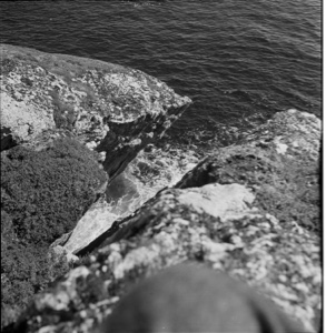 Image of Looking down onto rocky shoreline
