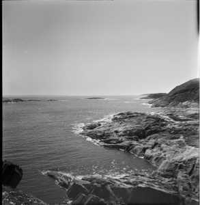 Image of Rocky shoreline