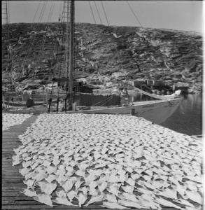 Image: Fish stage, dertail. BOWDOIN at pier beyond
