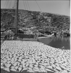 Image of Fish stage, detail. BOWDOIN at pier beyond
