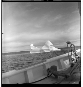 Image of First iceberg, seen over rail
