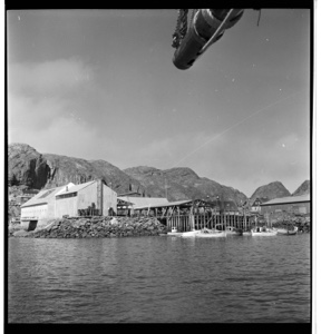 Image: Fishiing industry at Sukkertoppen