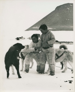 Image of Two Inuit boys with dog team [Peter Duneq and unidentified boy]