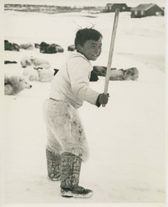 Image of Inuit boy[Peter Duneq] holding stick. Dog team rests beyond