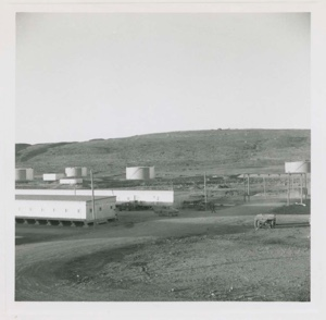 Image of Buildings and storage tanks, Thule AFB