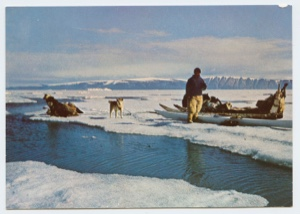 Image: Sledge, dogs, kayak, man on ice pan (postcard)