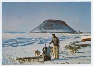 Image: Man with dog team, Umanak in distance  (postcard)