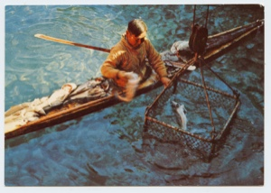 Image: Man in kayak with fish trap (postcard)