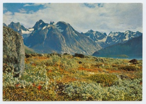 Image of Landscape and mountains (postcard)