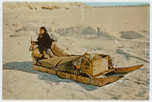 Image of Inuit woman on sledge 
