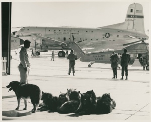 Image of Men and dogs by USAF plane and helicopter