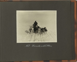 Image of Mit Hundeschlitten [With Dog sledge: Dog team approaching]