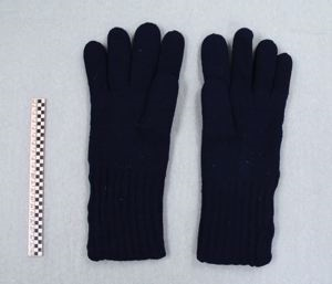 Image: Pair of blue knitted wool gloves