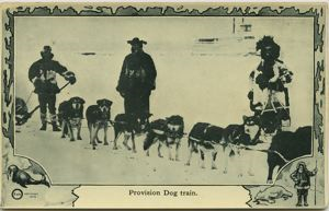 Image: Provision dog train