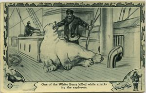 Image: Bear killed while attacking explorers