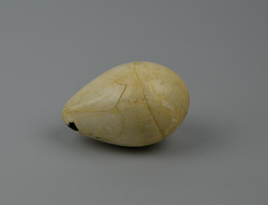 Image of Penguin Egg