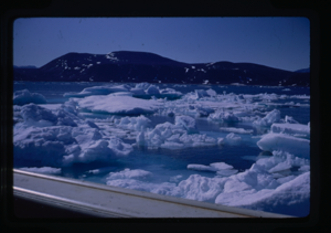 Image of Ice floe/drift ice