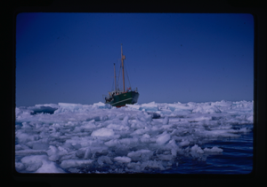 Image: Ship HERO sailing through drift ice