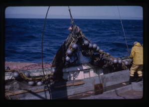 Image of Net being pulled onto ship.