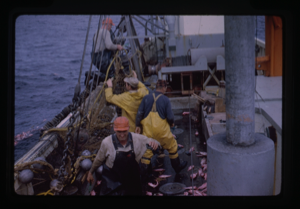 Image of Fishermen on deck of ship.