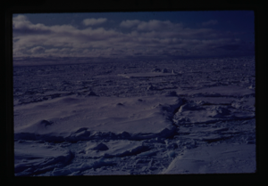 Image: Ice field