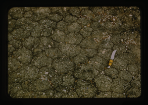 Image of Knife on the ground of seasonal dry lake