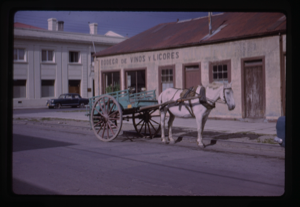 Image of Horse htiched to a cart outside Bodega De Vinos