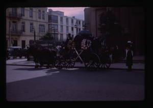 Image: Two horses pulling a funeral carriage