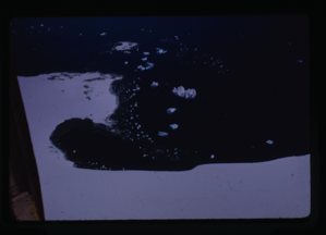 Image of Aerial view of ice sheet and ice bergs