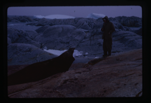 Image of Man standing near weddel seal