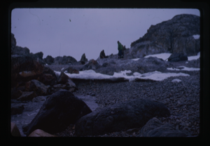 Image of People on rocky beach