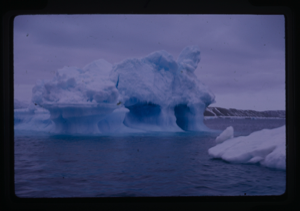 Image of Iceberg off Seymour Island