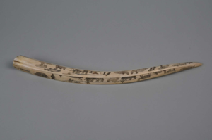 Image of Engraved Walrus Tusk