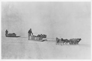 Image: Two sledge teams ready to march (Eskimo type sledge)