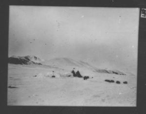 Image: Igloo [iglu] remains and tents, dogs resting in snow field