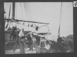 Image of Percy and crew securing the sails on the Roosevelt