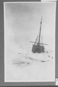 Image of The Roosevelt in ice, dogs nearby