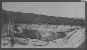 Image of MacMillan resting on sails, in polar bear pants