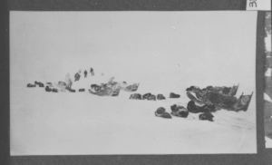 Image of Dogs at rest by sledges, men behind pickaxing a route (see The North Pole, p. 2